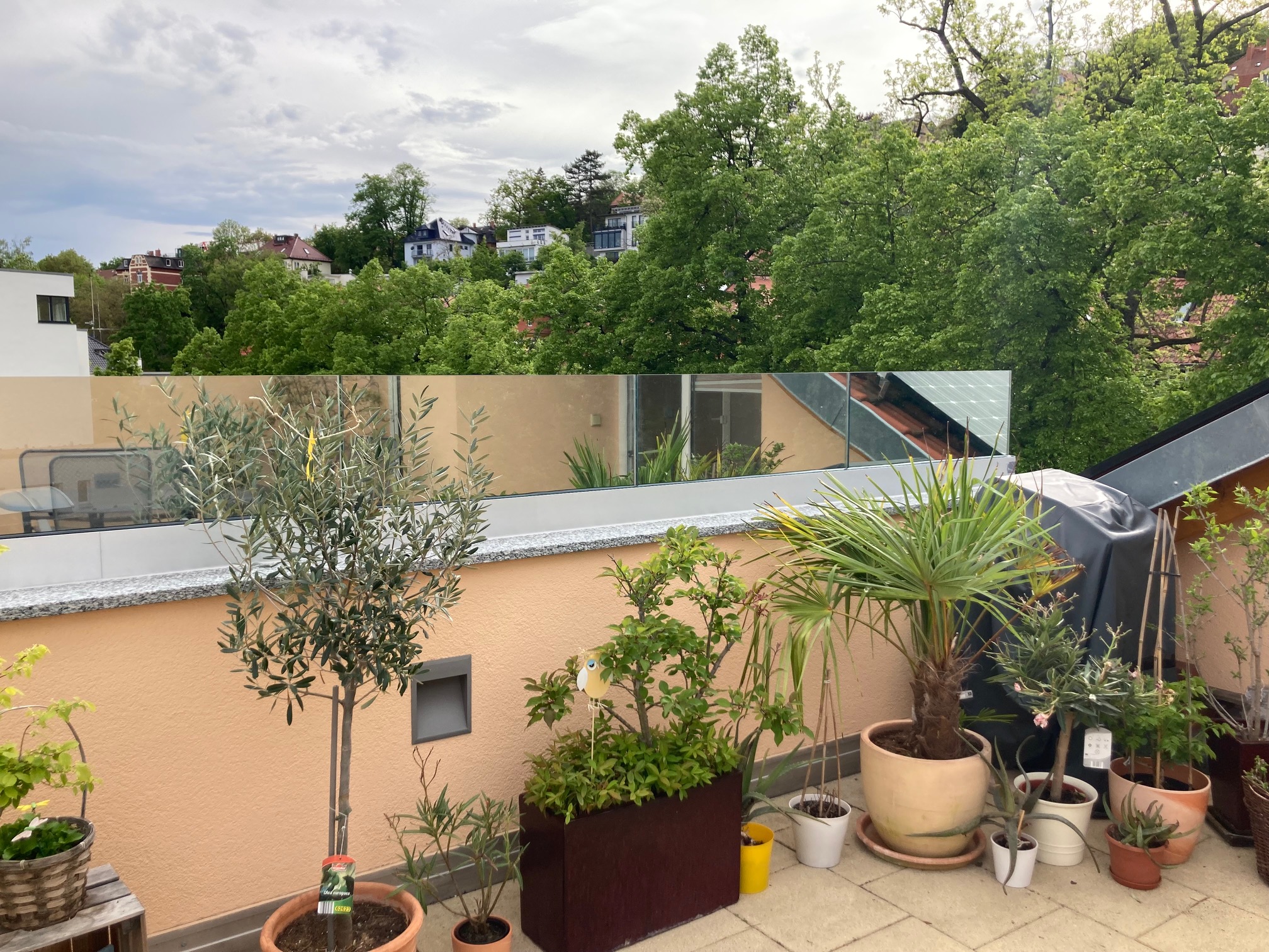 Et søjlefrit glasgelænder monteret oven på en lav mur ved terrassen, som supplerer højden og giver vindbeskyttelse uden at skygge for udsigten.